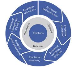 Emotional Intelligence Coaching 